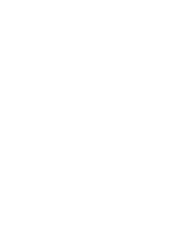 VW Logo