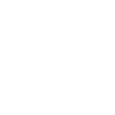 VW Logo